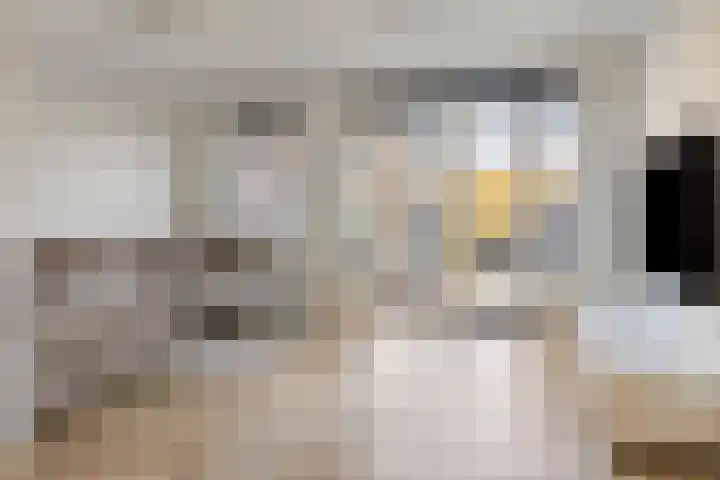 Achterzoom 16 Moerkapelle thumbnail 10