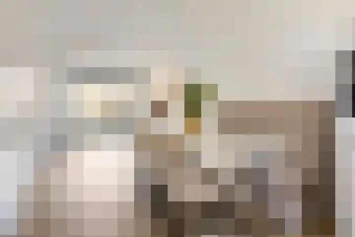 Achterzoom 16 Moerkapelle thumbnail 11