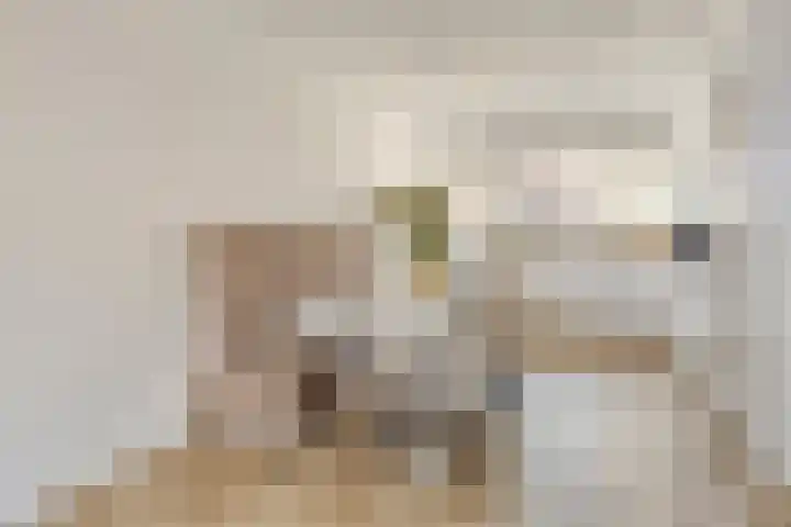 Achterzoom 16 Moerkapelle thumbnail 13
