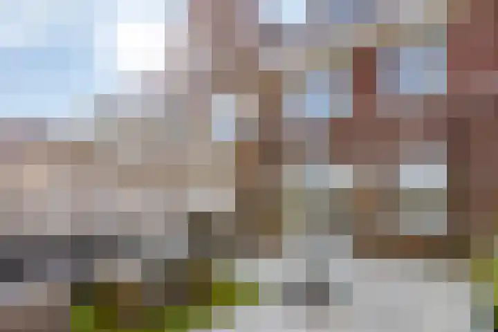 Achterzoom 16 Moerkapelle thumbnail 29