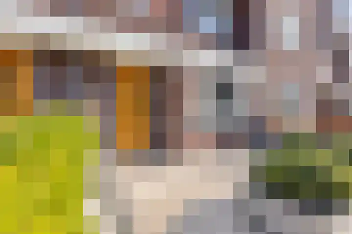 Achterzoom 16 Moerkapelle thumbnail 8