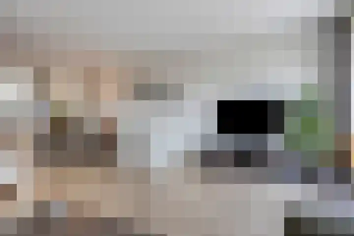 Achterzoom 18 Moerkapelle thumbnail 14