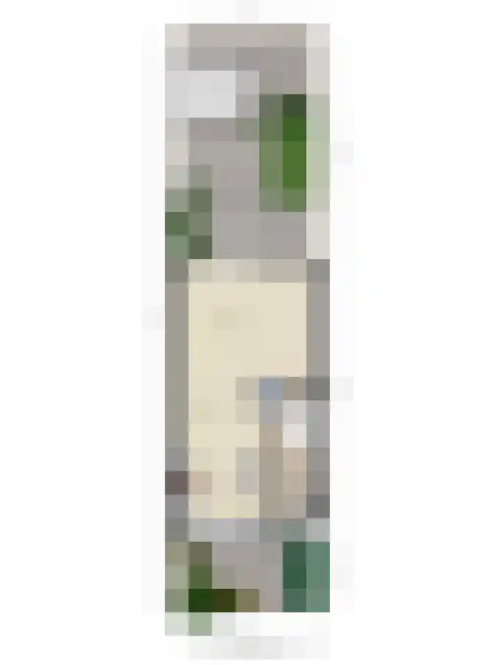 Achterzoom 18 Moerkapelle thumbnail 42