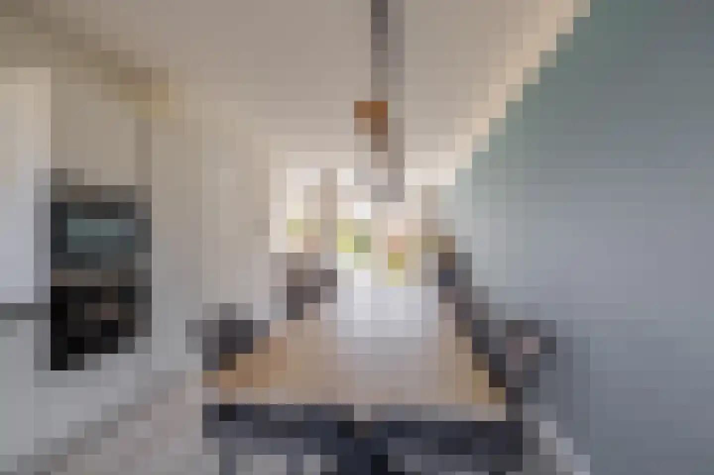 Achterzoom 28 Moerkapelle thumbnail 11