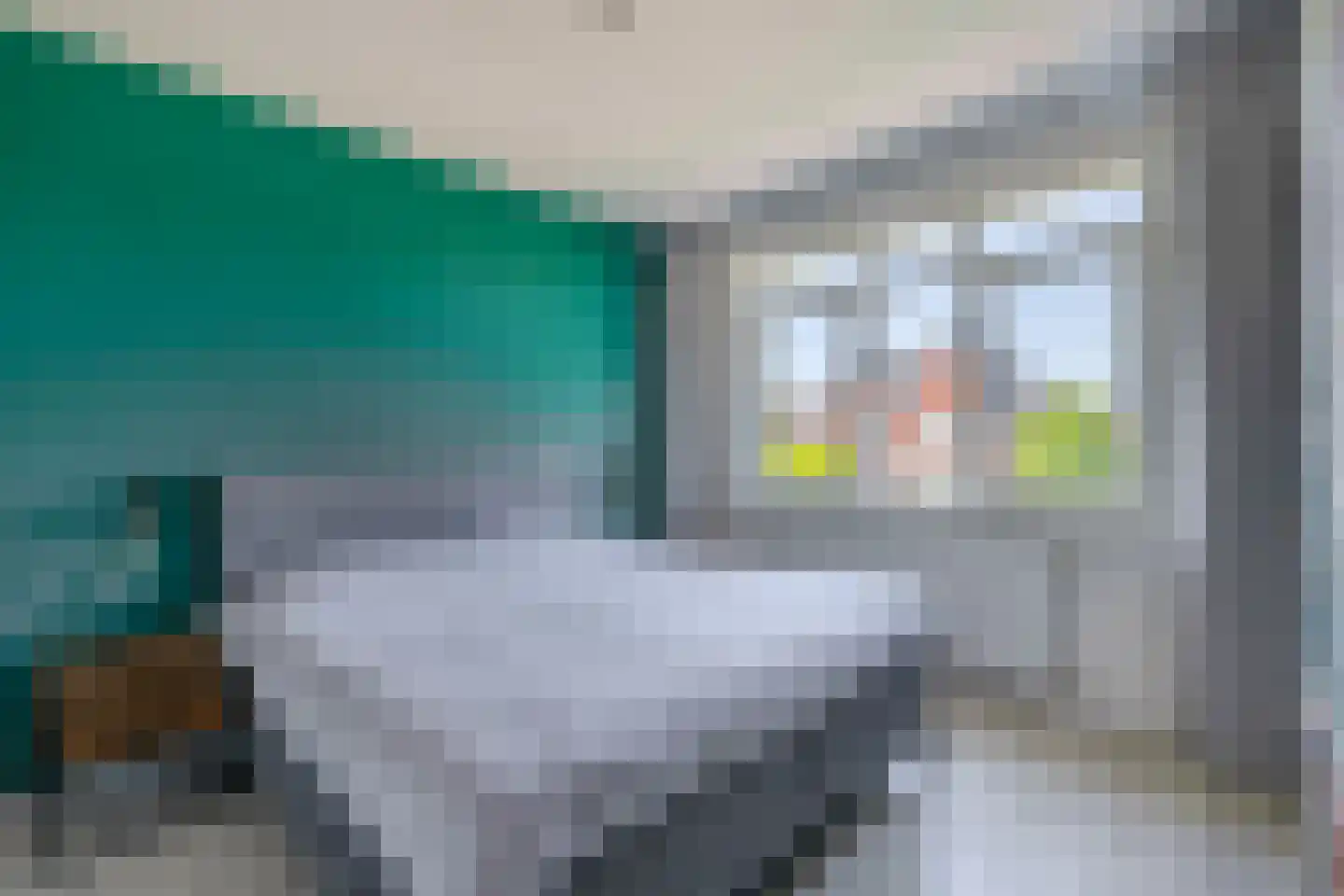 Achterzoom 28 Moerkapelle thumbnail 16