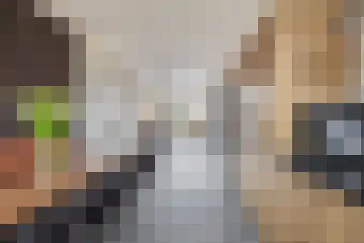 Achterzoom 32 Moerkapelle thumbnail 14