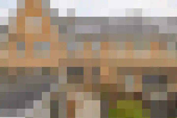 Achterzoom 32 Moerkapelle thumbnail 28