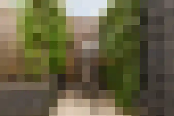 Achterzoom 32 Moerkapelle thumbnail 33