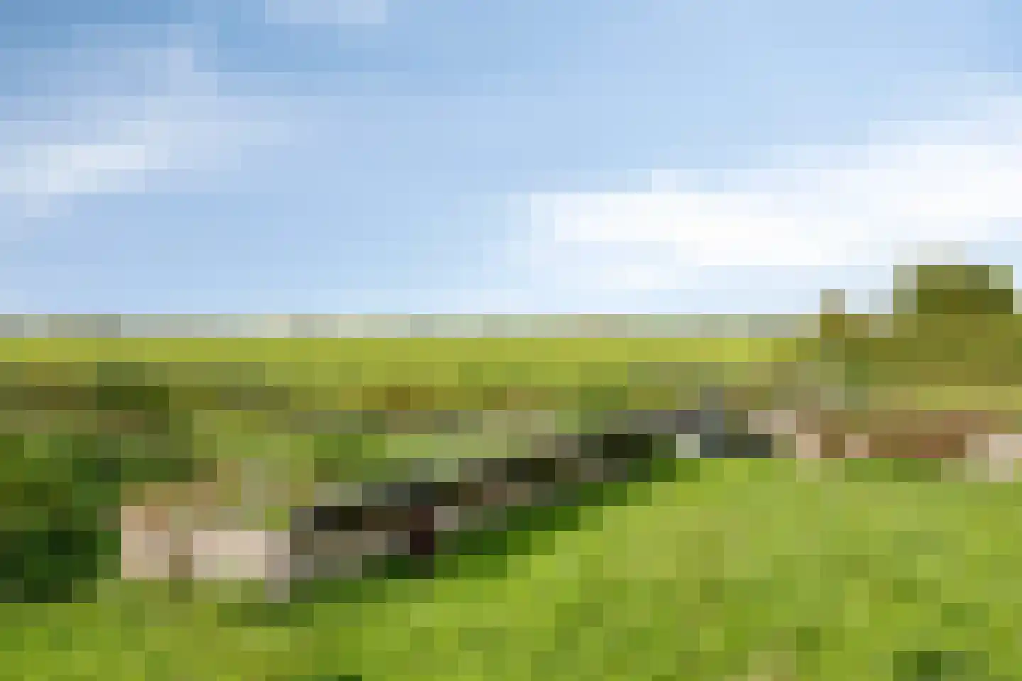 Achterzoom 34 Moerkapelle thumbnail 5