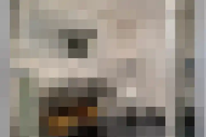Achthoven 31 Lexmond thumbnail 25