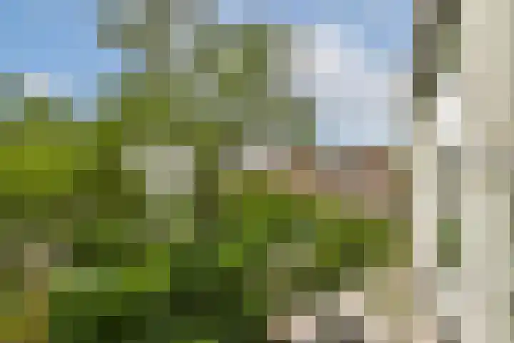 Achthoven 31 Lexmond thumbnail 38
