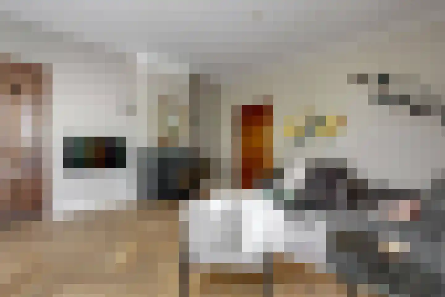 Achthovenerweg 27 Leiderdorp thumbnail 10
