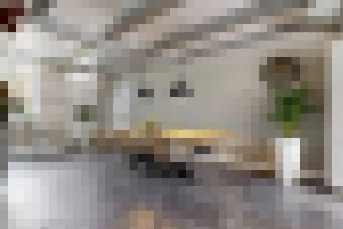 Achthovenerweg 27 Leiderdorp thumbnail 16