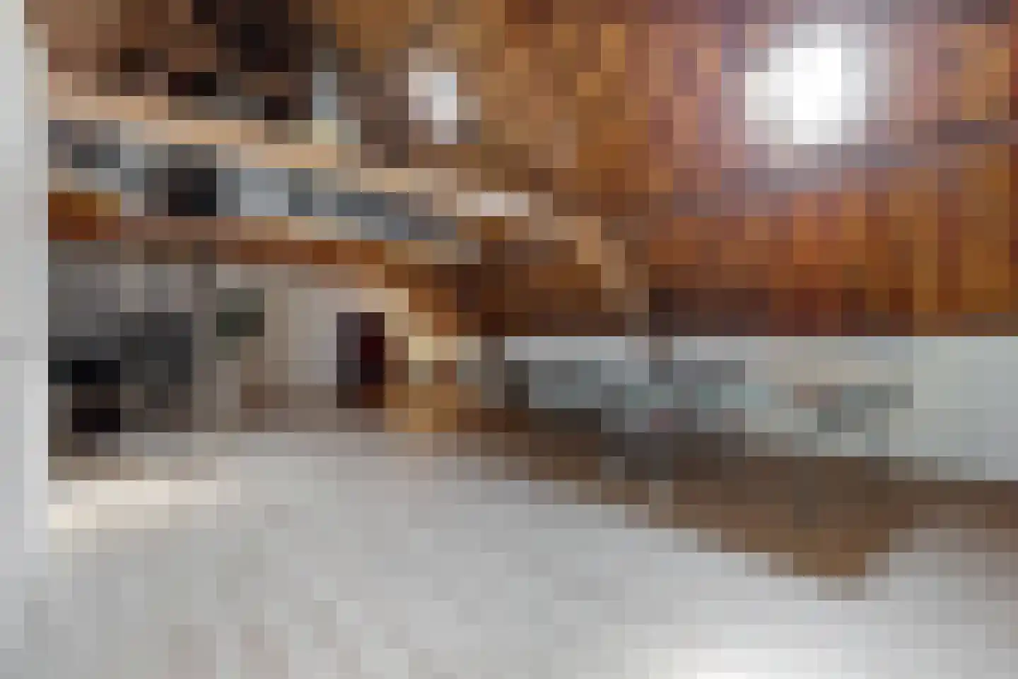 Achthovenerweg 27 Leiderdorp thumbnail 42