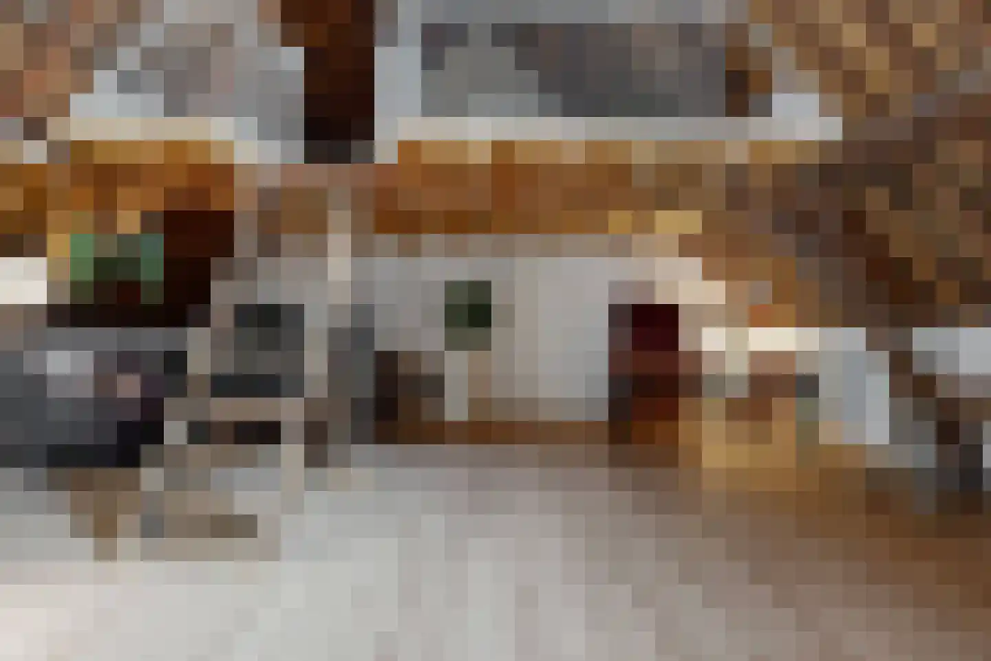 Achthovenerweg 27 Leiderdorp thumbnail 43