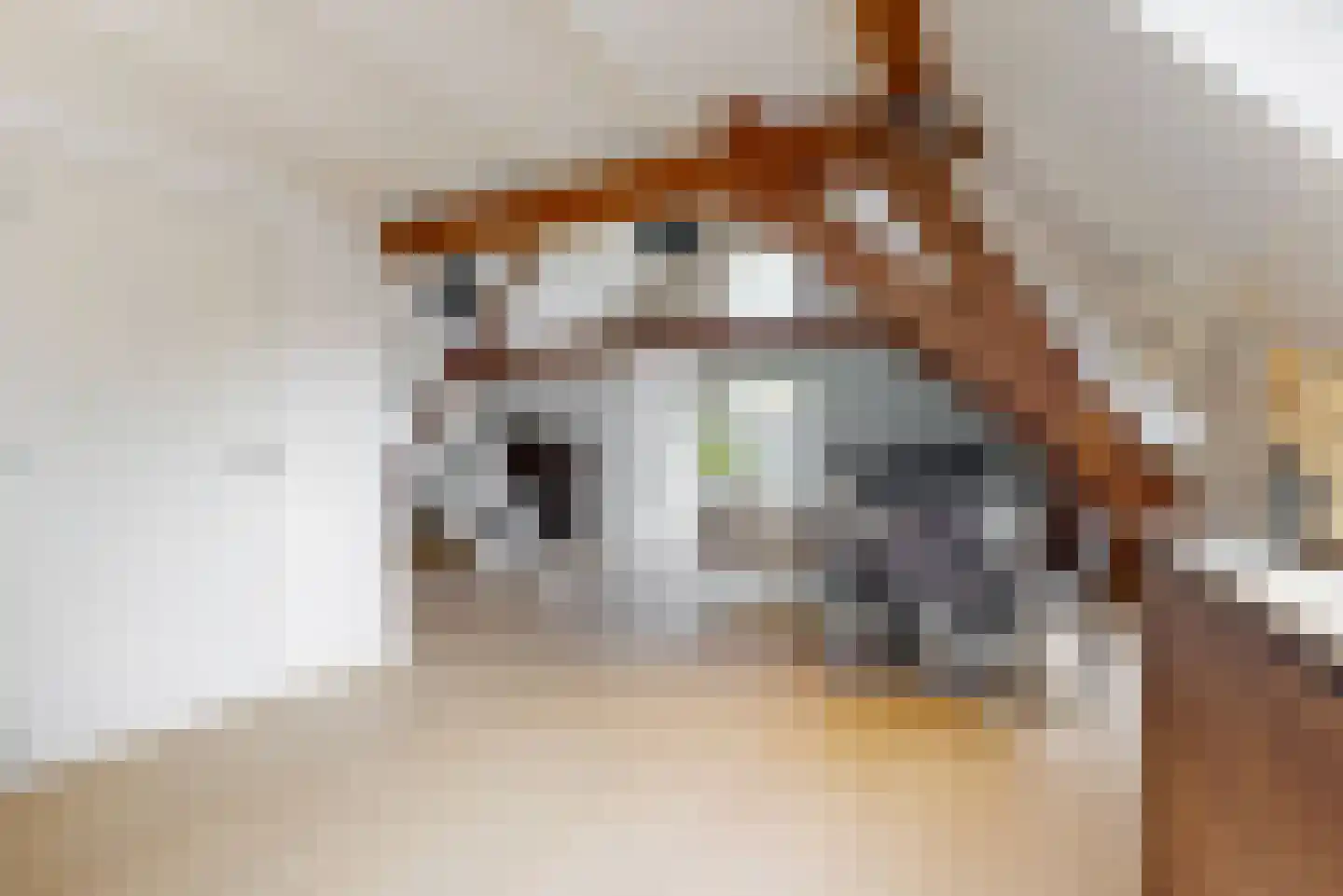 Achthovenerweg 27 Leiderdorp thumbnail 49