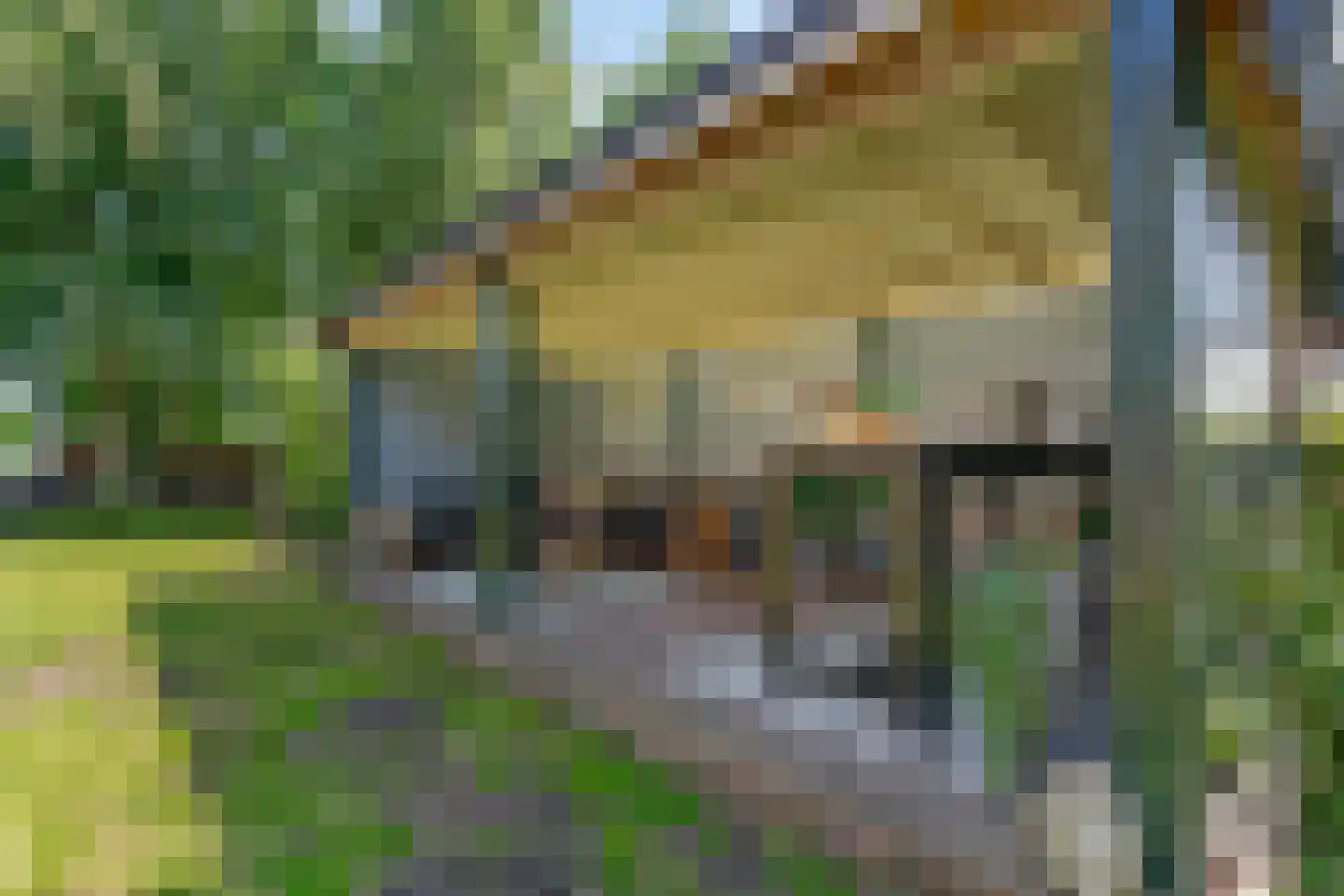 Achthovenerweg 27 Leiderdorp thumbnail 75