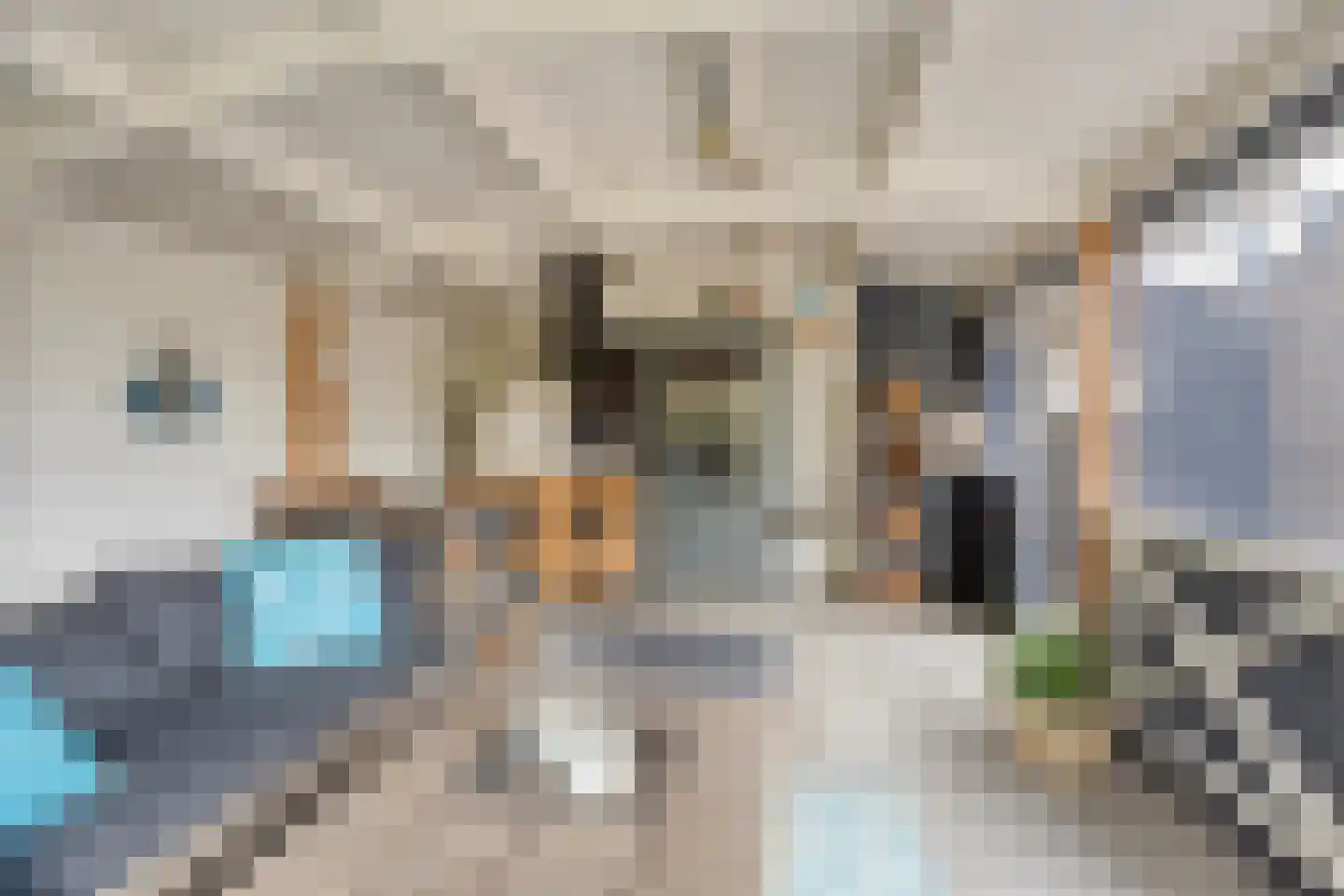 Achthovenpolderpad 2 Gouda thumbnail 20