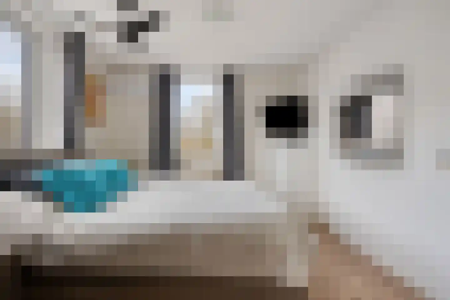 Achthovenpolderpad 2 Gouda thumbnail 27