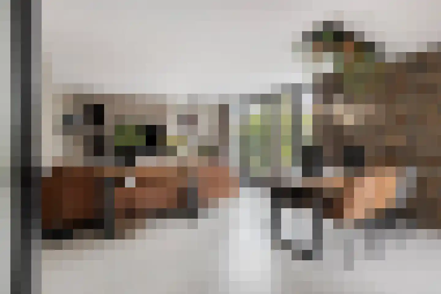 Achthovenpolderpad 2 Gouda thumbnail 4