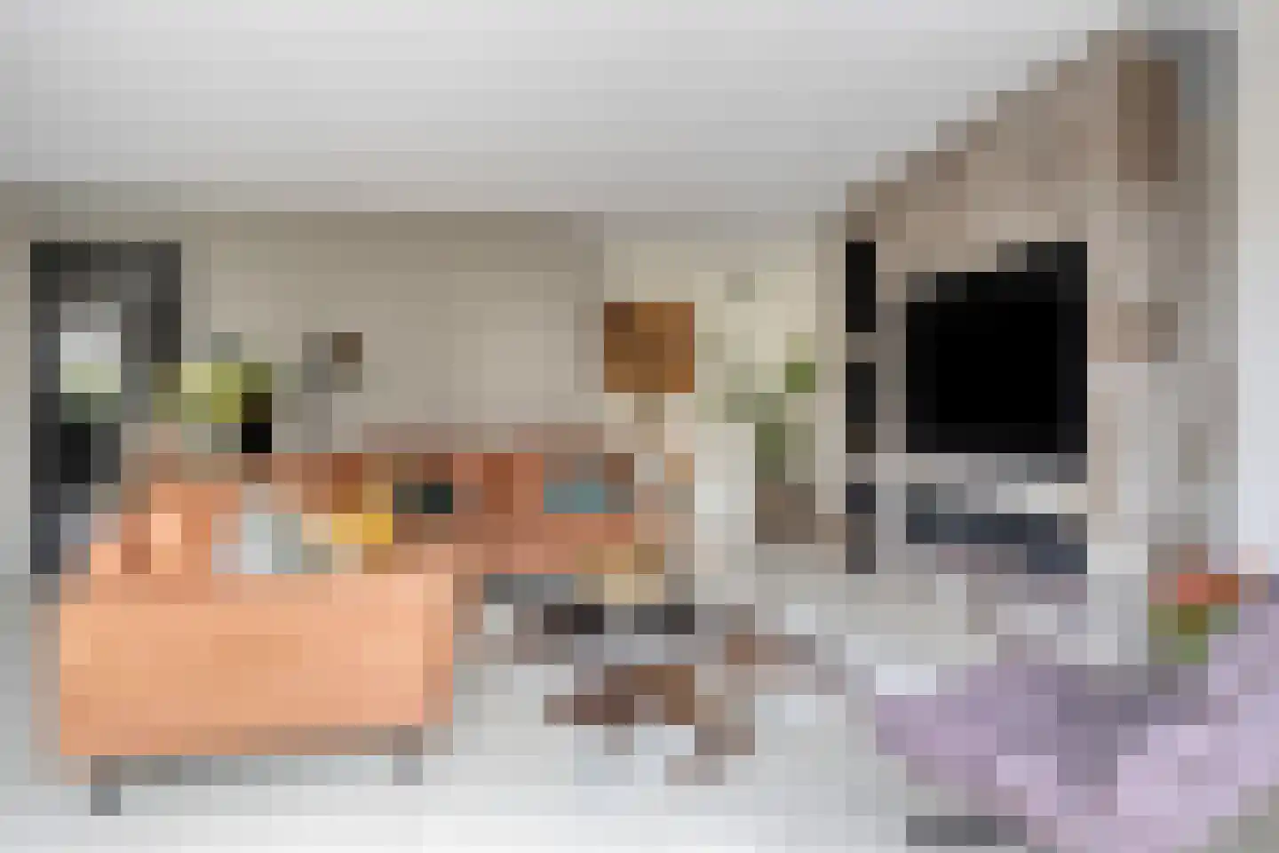 Achthovenpolderpad 2 Gouda thumbnail 5
