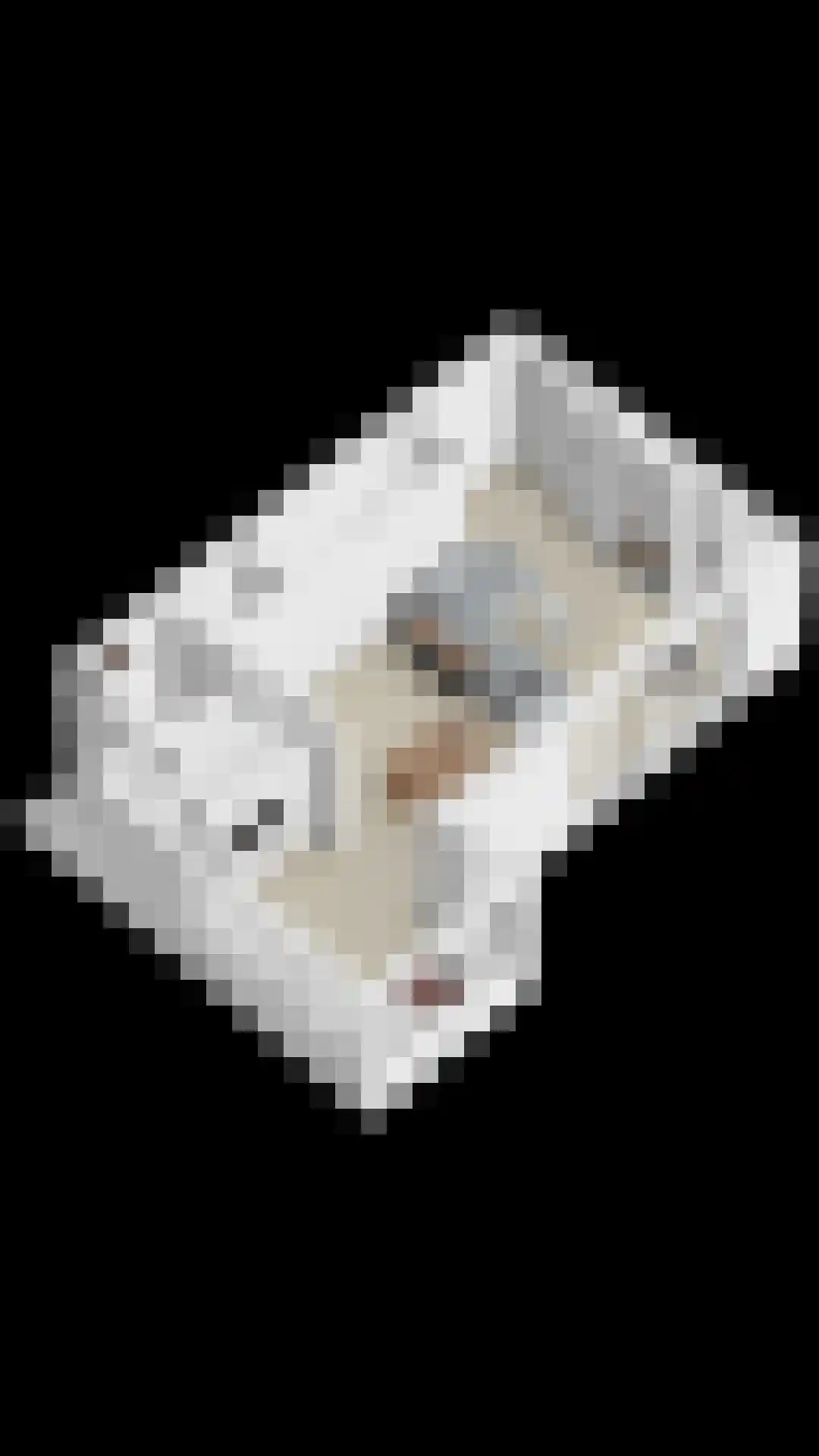 Achthovenpolderpad 2 Gouda thumbnail 51
