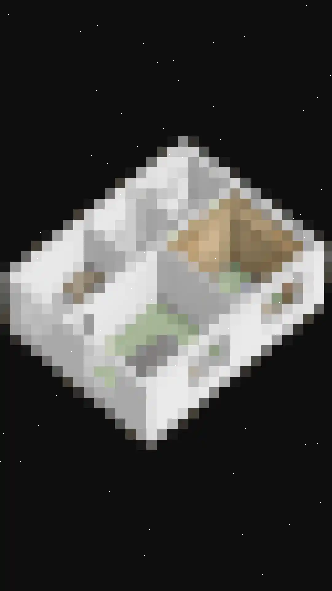 Achthovenpolderpad 2 Gouda thumbnail 52
