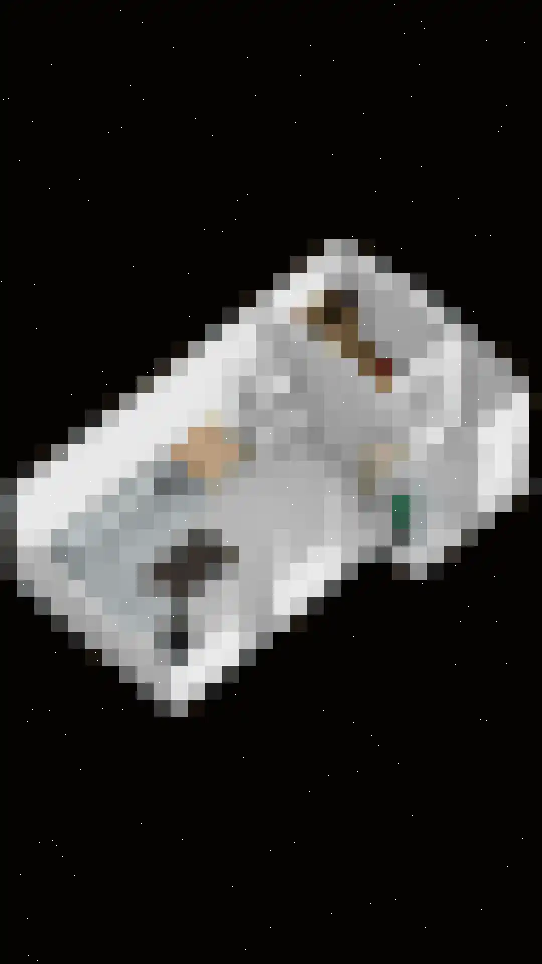 Achthovenpolderpad 2 Gouda thumbnail 53