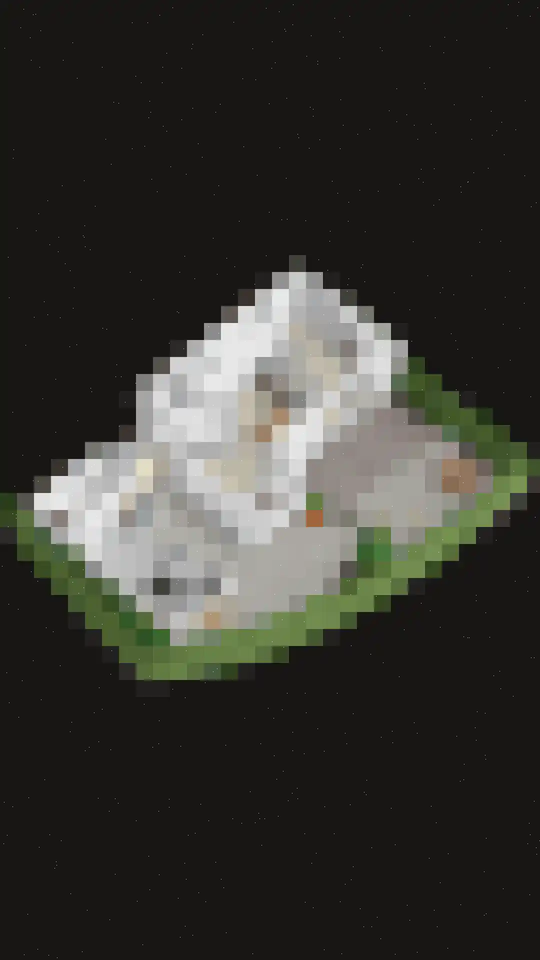 Achthovenpolderpad 2 Gouda thumbnail 54