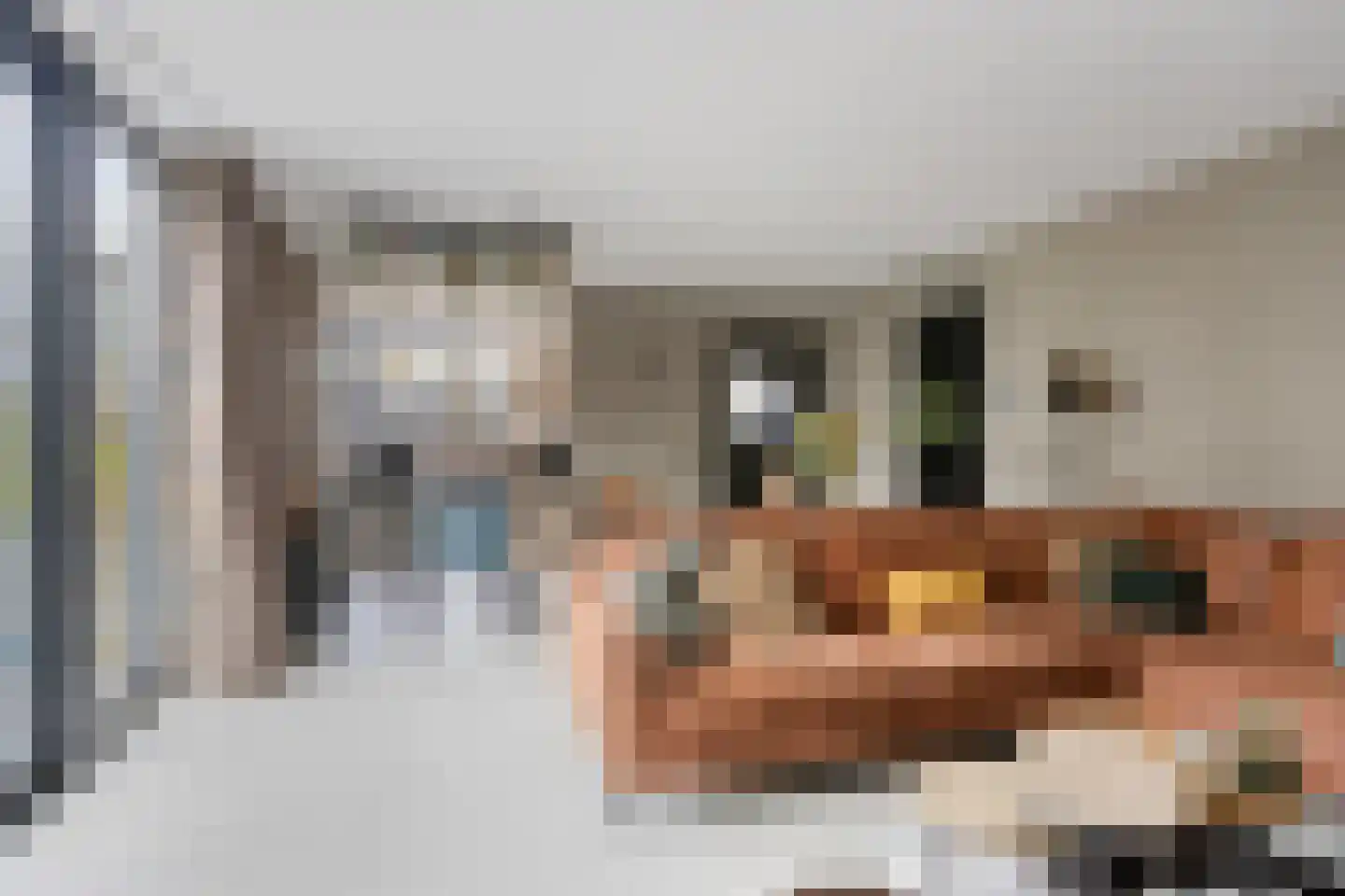 Achthovenpolderpad 2 Gouda thumbnail 7