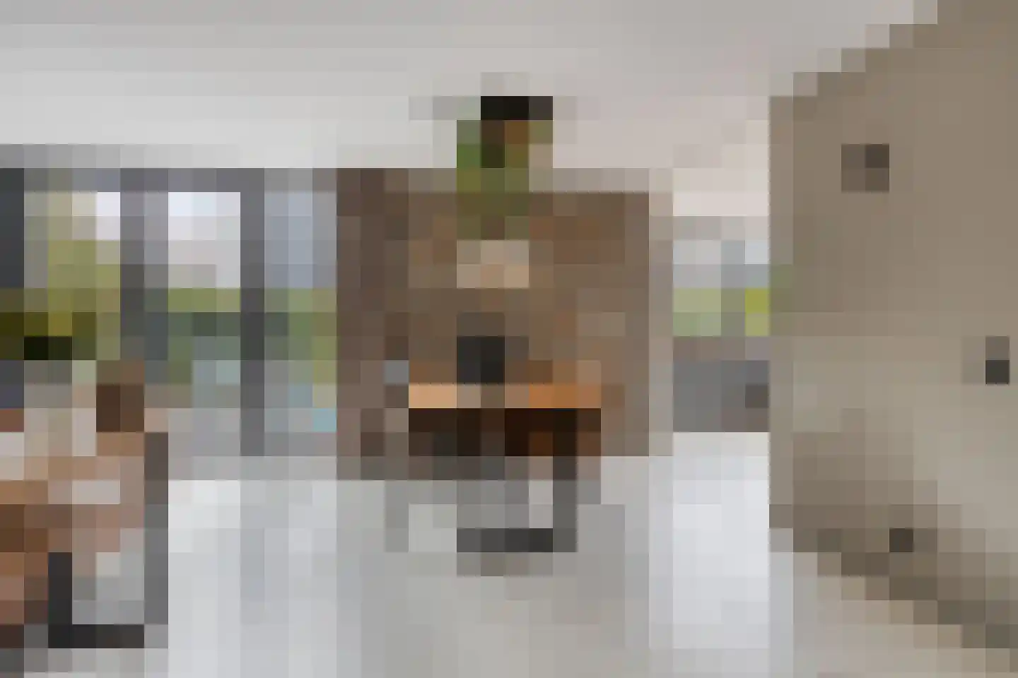 Achthovenpolderpad 2 Gouda thumbnail 8