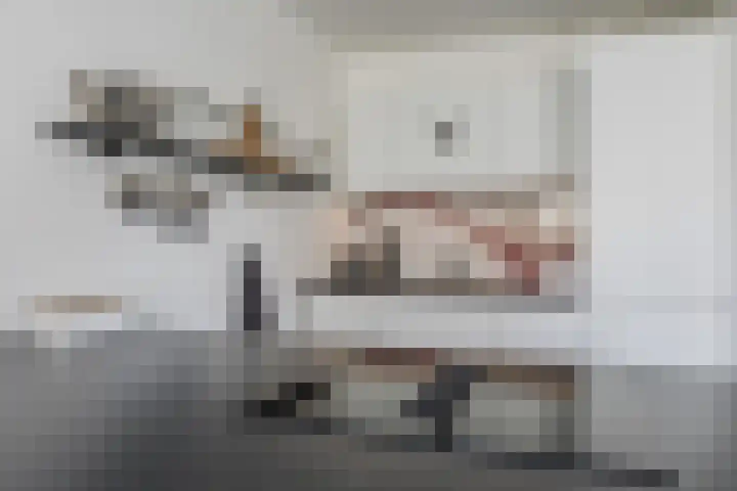 Achthovenpolderpad 8 Gouda thumbnail 15