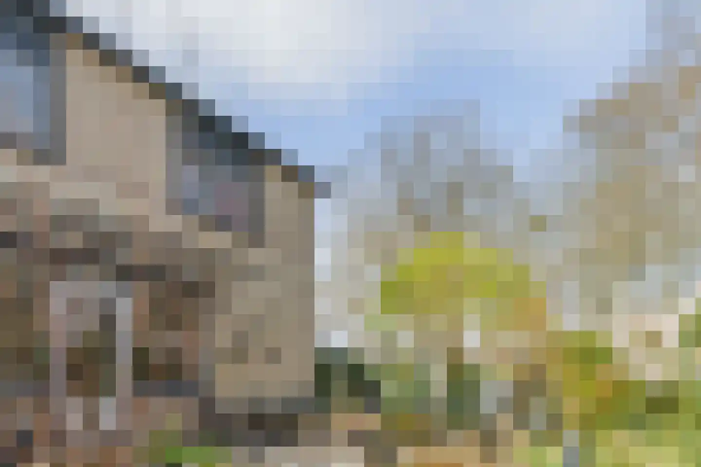 Achthovenpolderpad 8 Gouda thumbnail 42