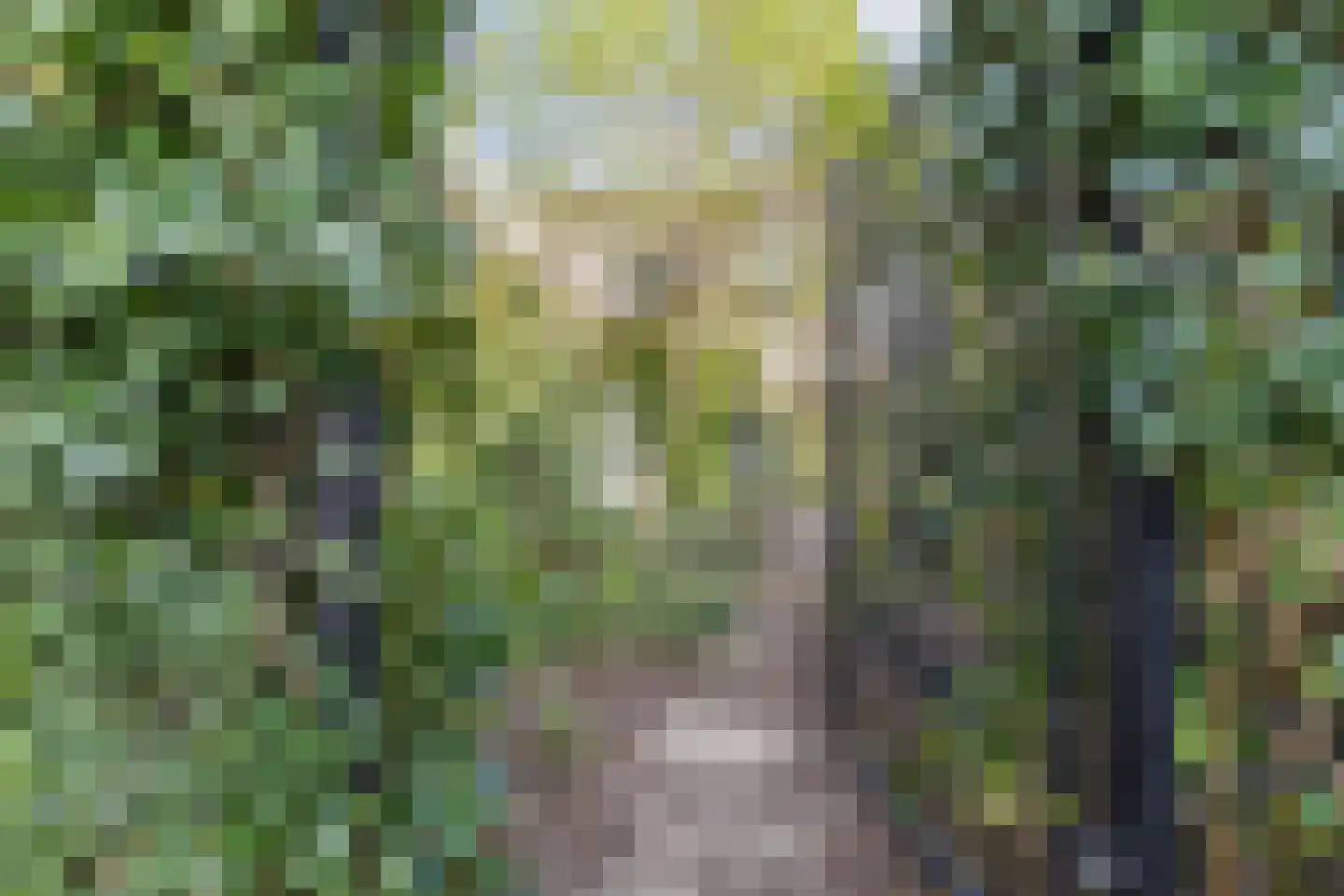 Achthovenpolderpad 8 Gouda thumbnail 48