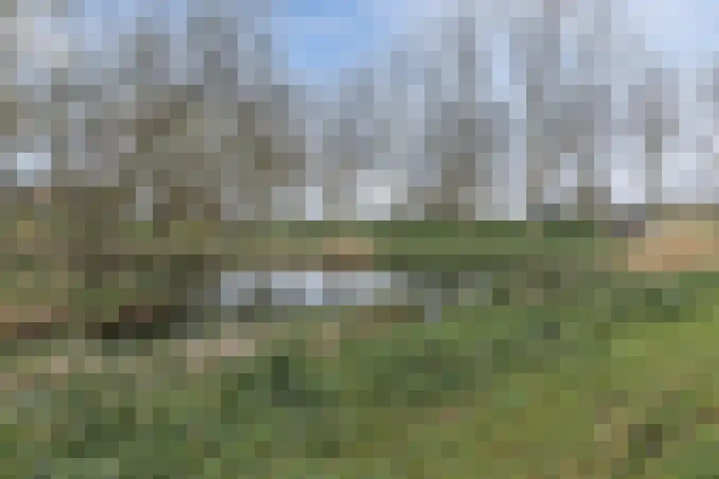 Achthovenpolderpad 8 Gouda thumbnail 61