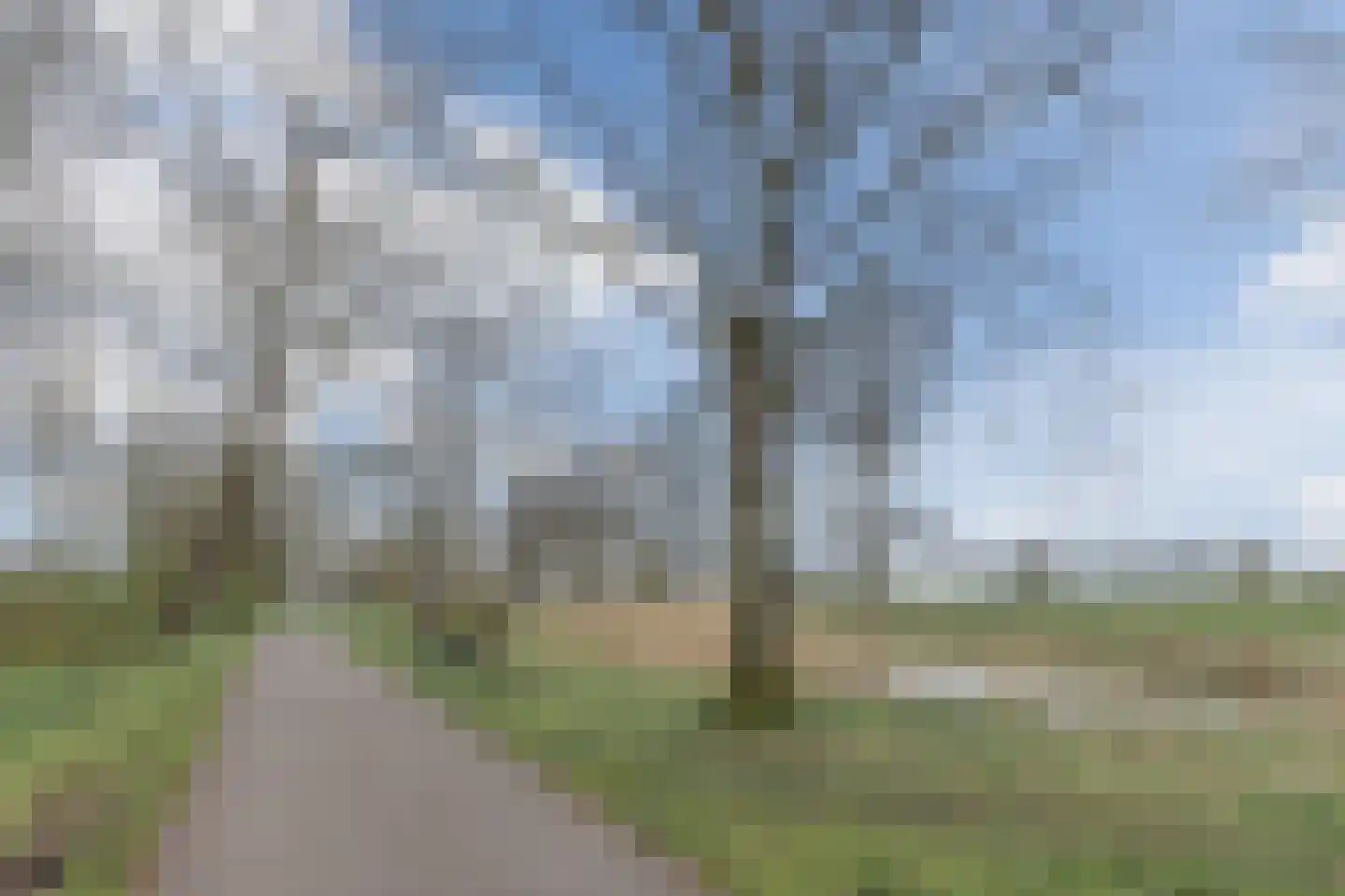 Achthovenpolderpad 8 Gouda thumbnail 64