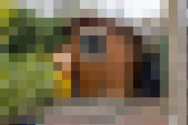 Achthuizenplantsoen 2 Arnhem thumbnail 28