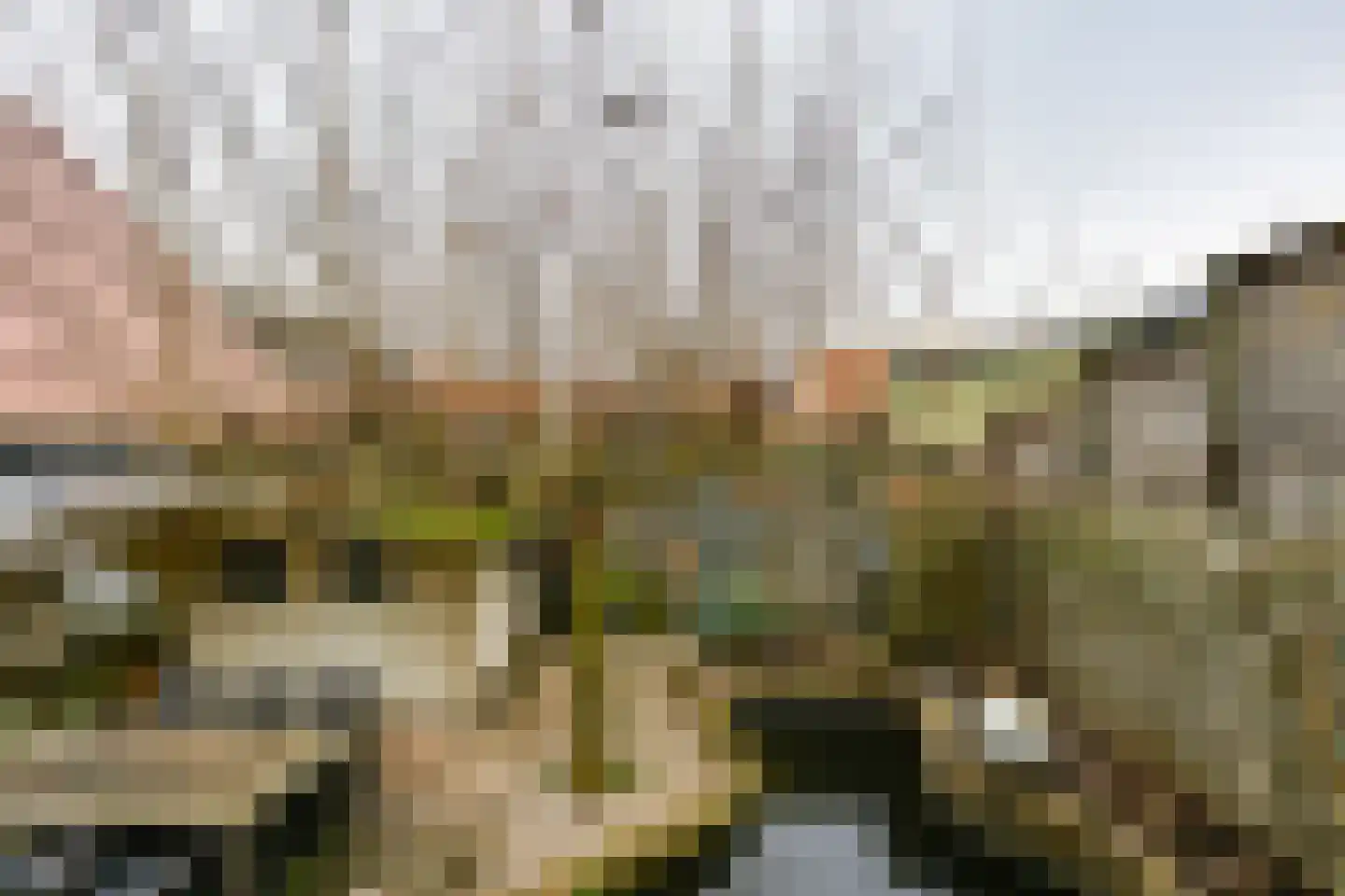 Achthuizensedijk 106 Achthuizen thumbnail 26