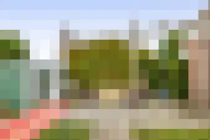 Achthuizensedijk 52 Achthuizen thumbnail 31