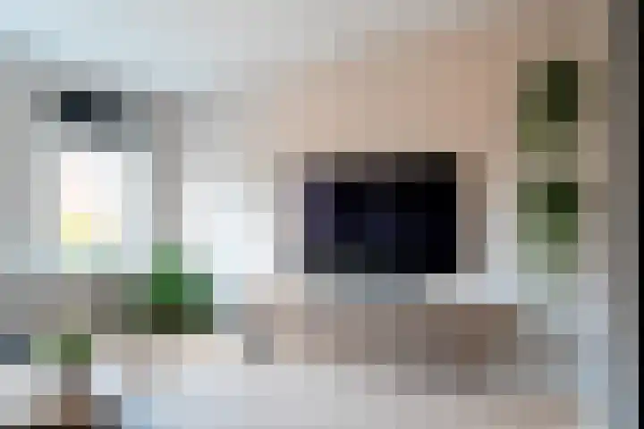 Achtkant 6 Harkstede thumbnail 18