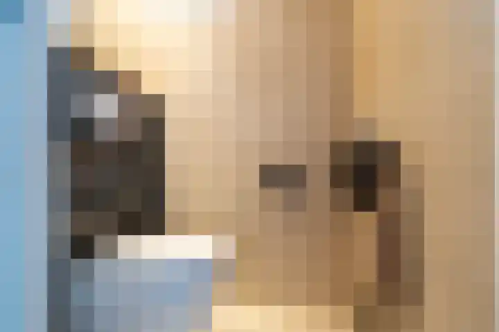 Achtkant 6 Harkstede thumbnail 37