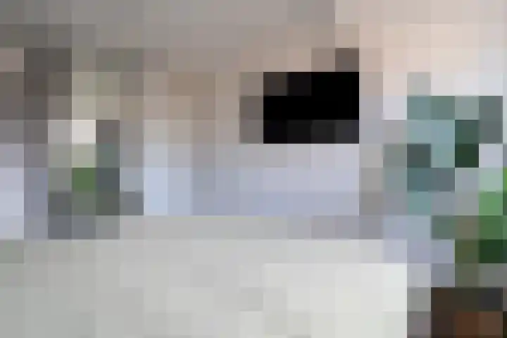 Achtkant 6 Harkstede thumbnail 41