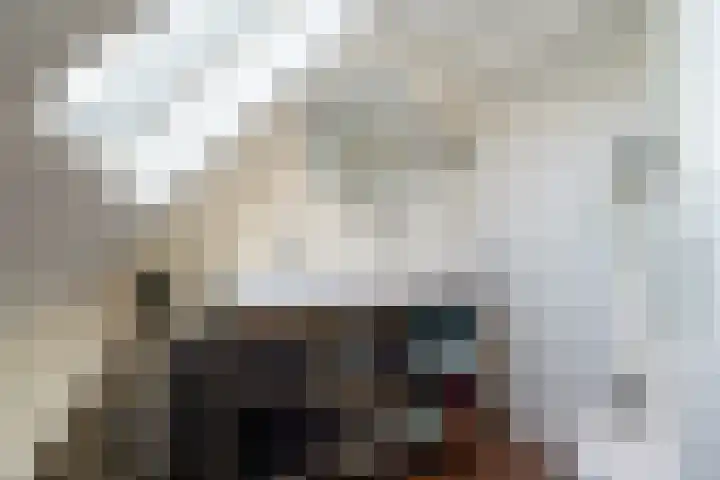 Achtkant 6 Harkstede thumbnail 49