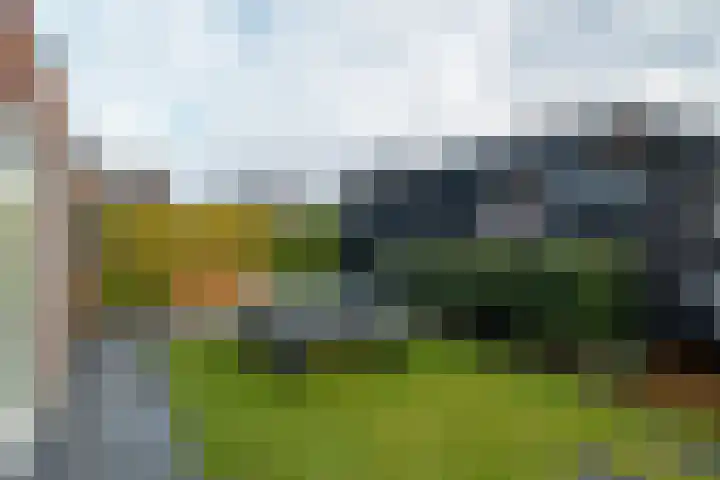 Achtkant 6 Harkstede thumbnail 59