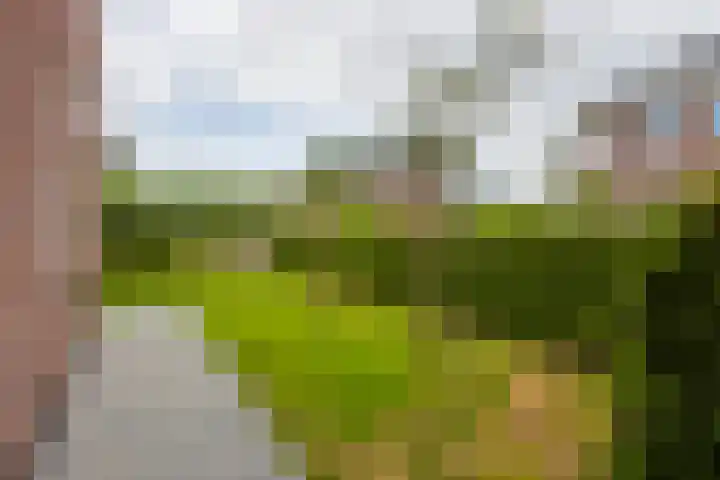 Achtkanter 7 Groot-Ammers thumbnail 36