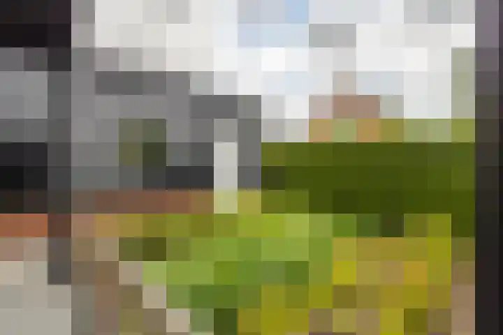 Achtkanter 7 Groot-Ammers thumbnail 37