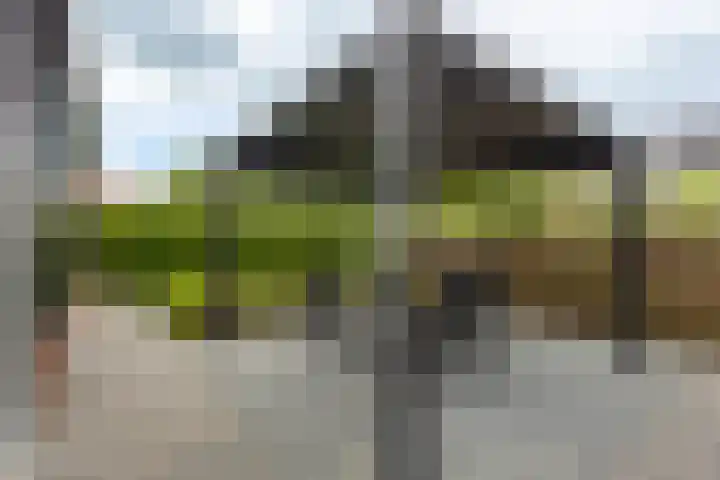 Achtkanter 7 Groot-Ammers thumbnail 39