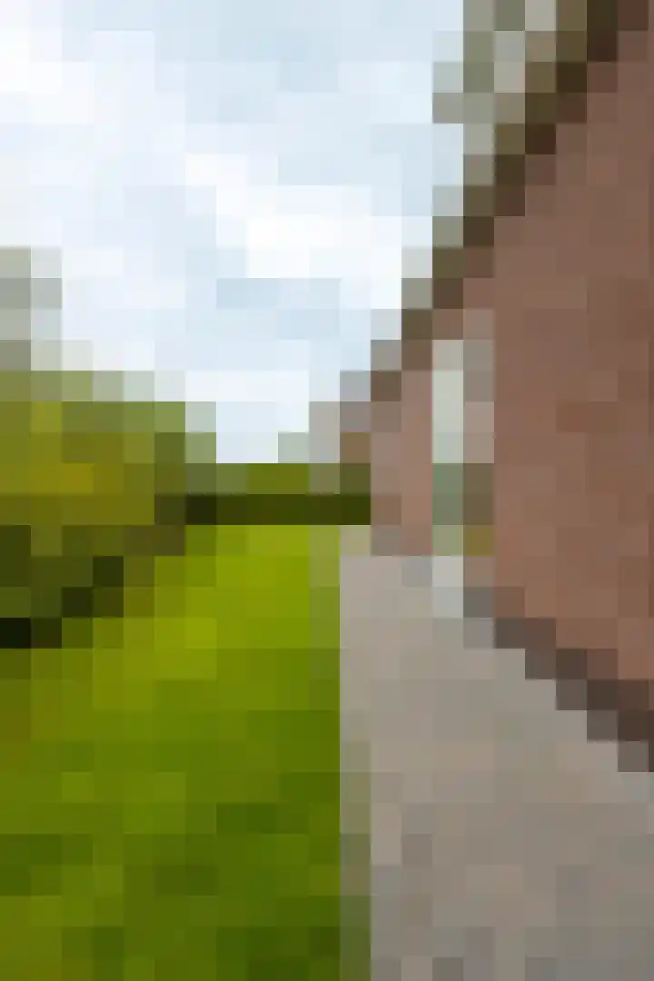 Achtkanter 7 Groot-Ammers thumbnail 43