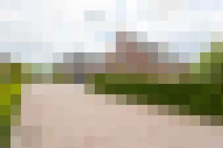 Achtkanter 7 Groot-Ammers thumbnail 45