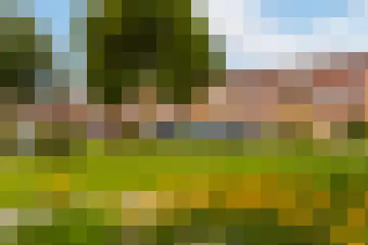 Achtkanter 7 Groot-Ammers thumbnail 46